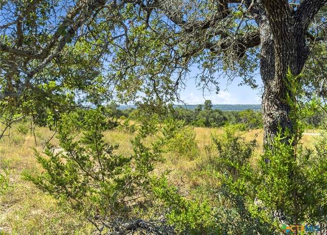 Property at 820 Stone Ridge Mountain Dr, Round Mountain, TX 78663