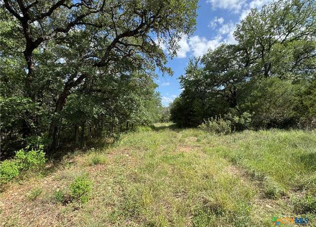 Property at 221 Hunters Glen Rd, San Marcos, TX 78666
