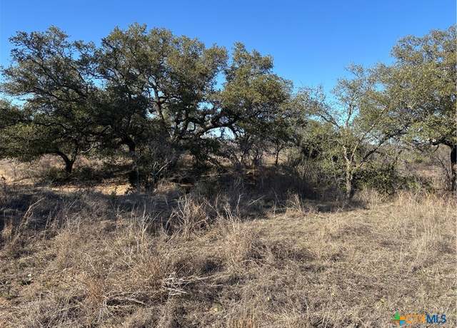 Property at 241 Lehne Loop, Buchanan Dam, TX 78609