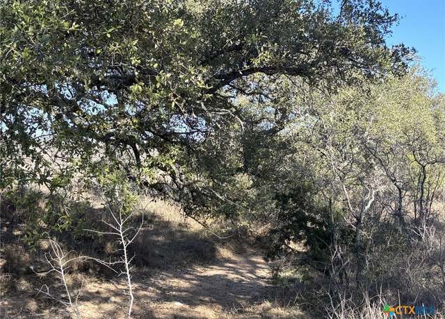 Property at 241 Lehne Loop, Buchanan Dam, TX 78609