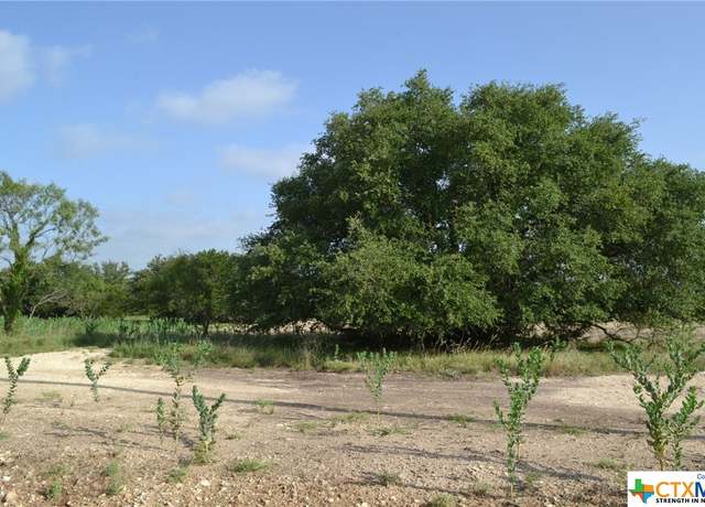 Property at Block 2, Lot 1 and Lot 2 Cr 3152, Kempner, TX 76539