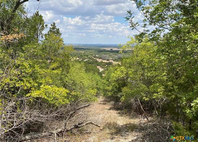 Property at FM 1113 W Lindorbet Ranch, Lot 16a, Copperas Cove, TX 76522