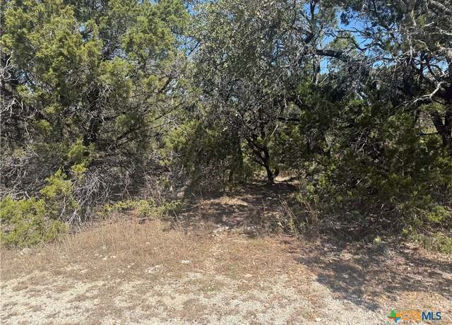 Property at 855 Golden Eagle Loop, Canyon Lake, TX 78133