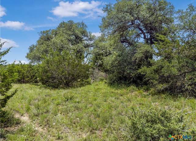 Property at 141 Vista View Pl, Spring Branch, TX 78070