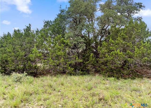 Property at 141 Vista View Pl, Spring Branch, TX 78070