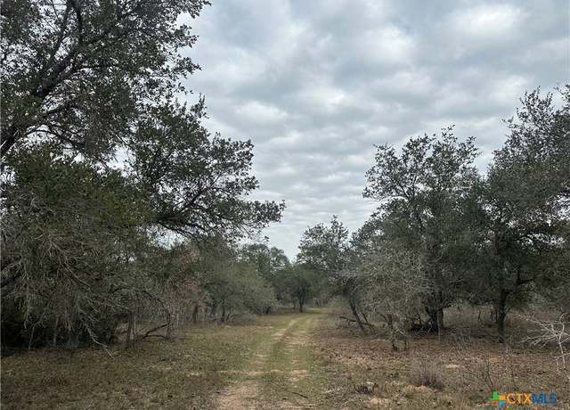 Property at 3 Dentler Tract 3 Rd, Meyersville, TX 77974
