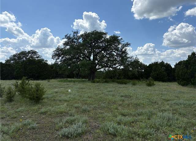 Property at TBD Deer Run Ct, Evant, TX 76525
