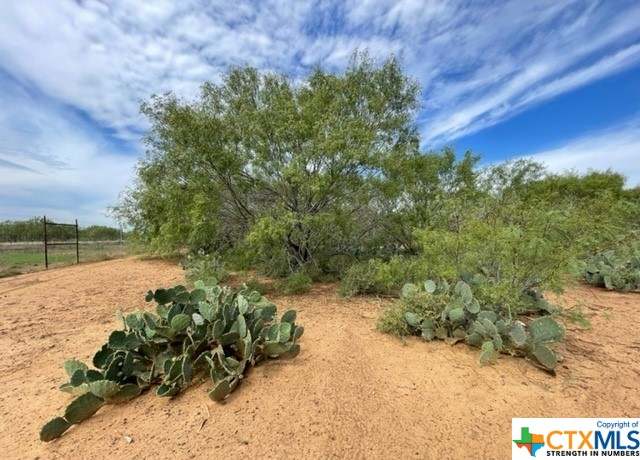Property at 13 County Road 329, Jourdanton, TX 78026