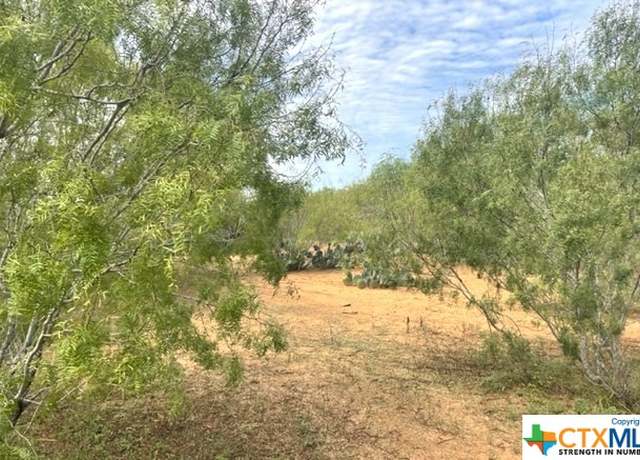 Property at 10 County Road 329, Jourdanton, TX 78026