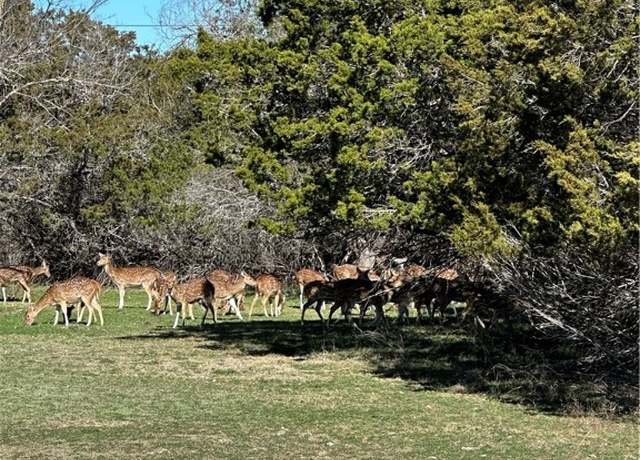Property at 0 Deerwood Cir, Bandera, TX 78003