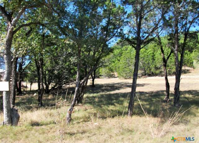Property at 8151 Rebecca Creek Rd, Spring Branch, TX 78070
