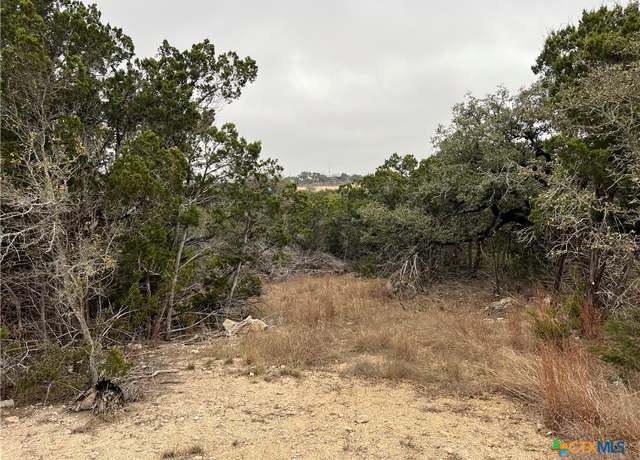 Property at 713 Stagecoach, Spring Branch, TX 78070