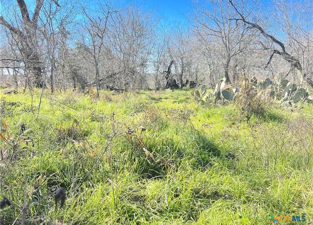 Property at 5912 Tenney Creek Rd, Luling, TX 78648