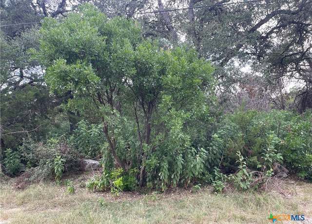 Property at 1652 Comfort, Canyon Lake, TX 78133