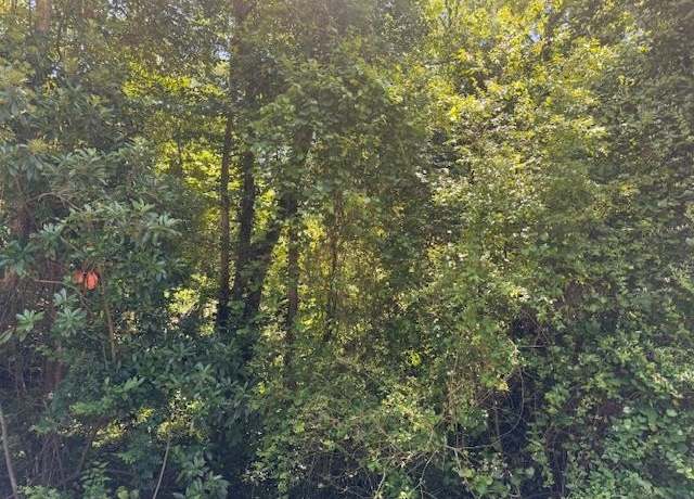Property at S Center St, Spartanburg, SC 29301