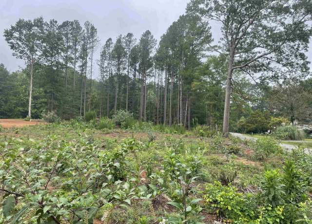Property at 114 Blue Coat Rd, Chesnee, SC 29323