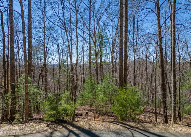 Property at 132 Overlook Park Dr, Hendersonville, NC 28792