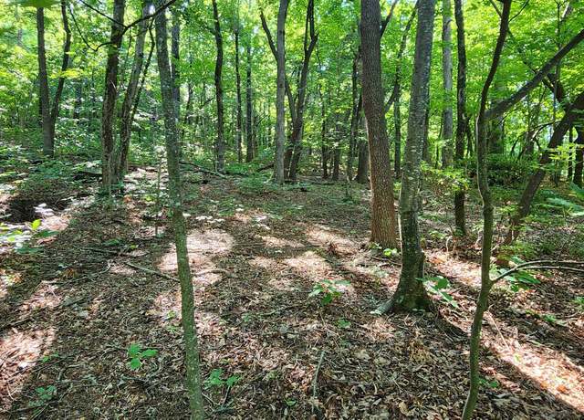 Property at Lot 71 Serpentine Dr, Columbus, NC 28722