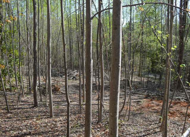 Property at 760 N Elm Ave Ave, Landrum, SC 29356