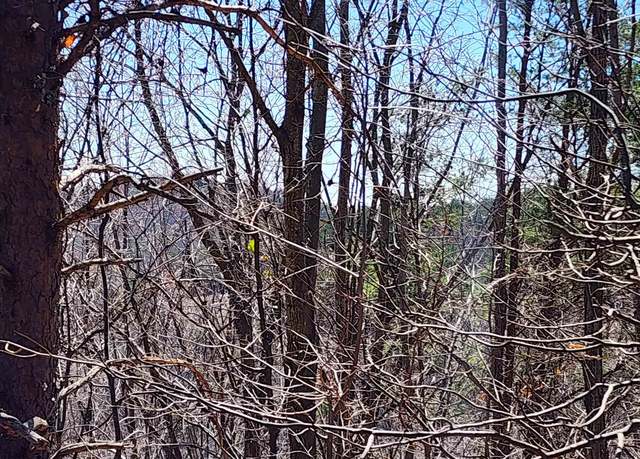Property at 320 Foggy Cut Ln, Landrum, SC 29356
