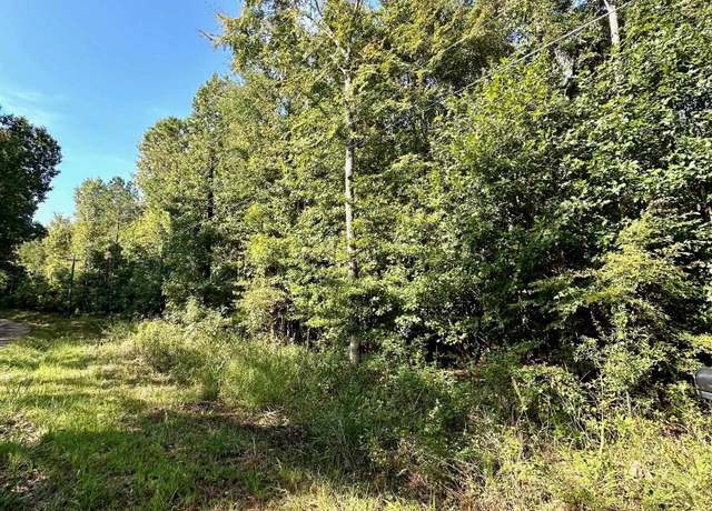 Property at 0 Terrapin Rd, Union, SC 29379