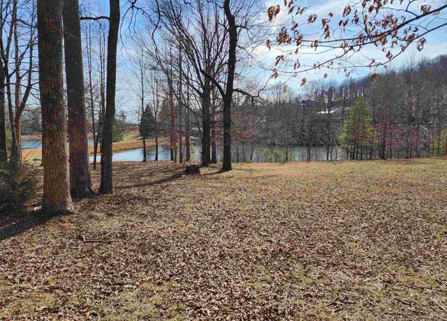 Property at Lot 77 Serpentine Dr, Columbus, NC 28722