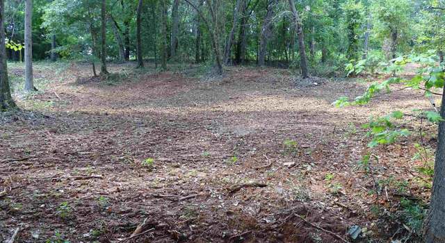 Photo of 0 Blue Springs Dr, Wellford, SC 29385