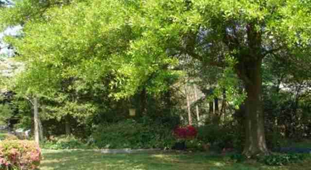Photo of 219 Anita Dr, Spartanburg, SC 29302