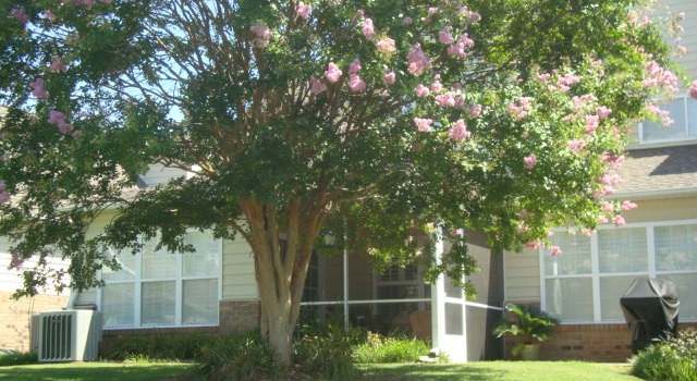 Photo of 416 Pierview Way, Boiling Springs, SC 29316