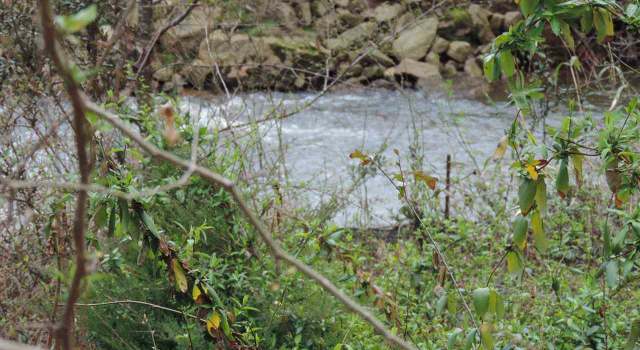 Photo of Somerset Place Lot 51, Greer, SC 29365