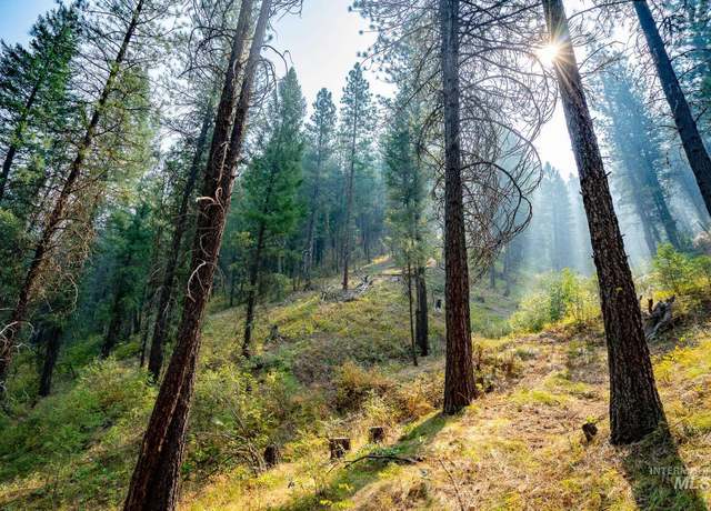 Property at TBD Forestland, Boise, ID 83716