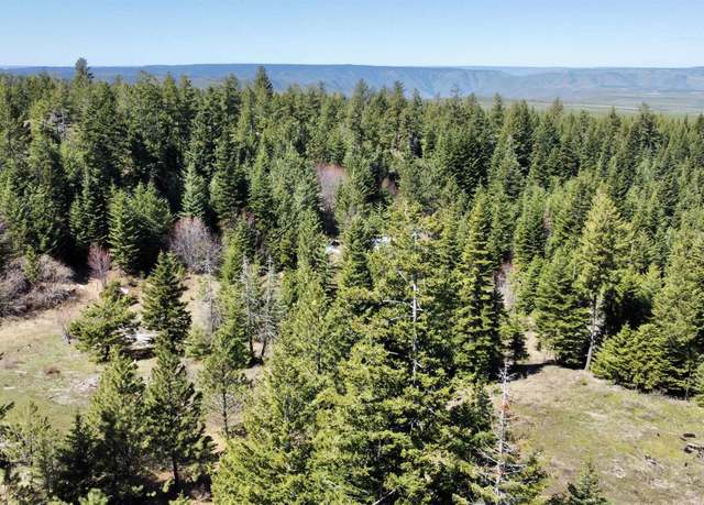 Property at TBD 2138 P 6 Old White Bird Hill Rd, Grangeville, ID 83530