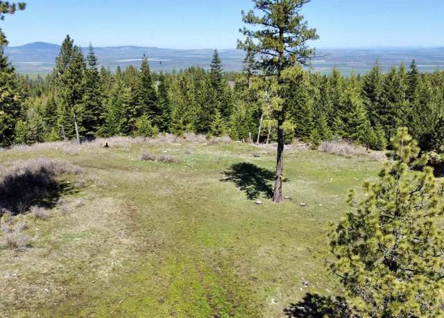 Property at TBD 2138 P 5 Old White Bird Rd, Grangeville, ID 83530