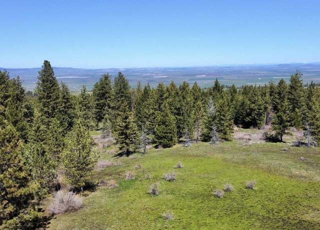 Property at TBD 2138 P 2 Old White Bird Hill Rd, Grangeville, ID 83530