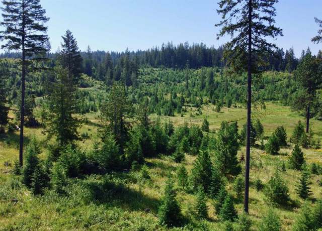 Property at TBD Parcel 7 Peaceful Valley Rd, Kamiah, ID 83536