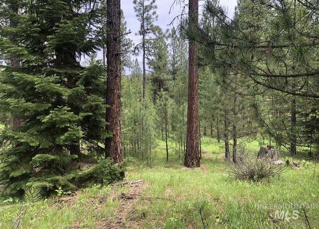 Property at L18 Silver Cloud Dr, Cascade, ID 83611