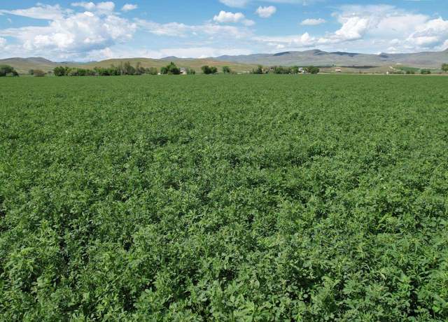 Property at Parcel 1 Olds Ferry Rd, Weiser, ID 83672