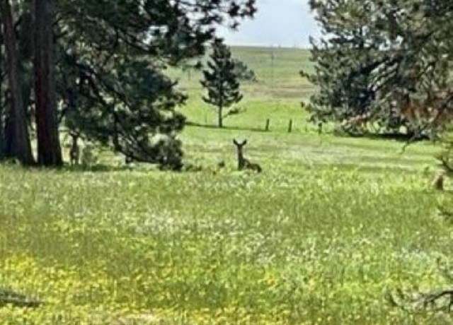 Property at TBD Tbd, Cottonwood, ID 83522