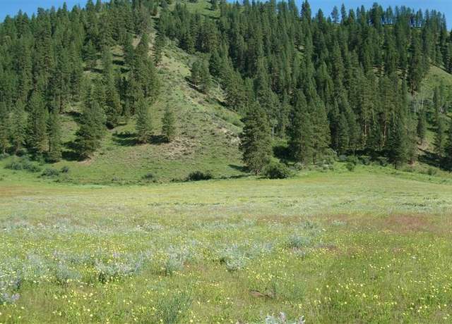 Property at TBD Blk 1 Lot 5 Payette River Hts, Garden Valley, ID 83622