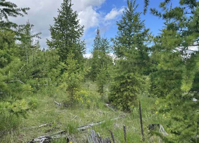 Property at TBD Upper Fords Crk, Orofino, ID 83544