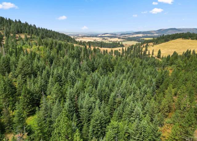 Property at TBD Bluegrass Ln, Kendrick, ID 83537