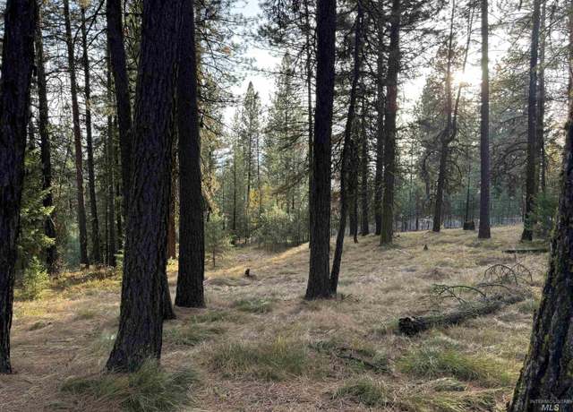Property at TBD Jughandle Dr, Mccall, ID 83638