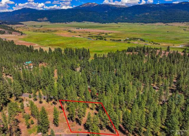 Property at TBD Syringa, New Meadows, ID 83654