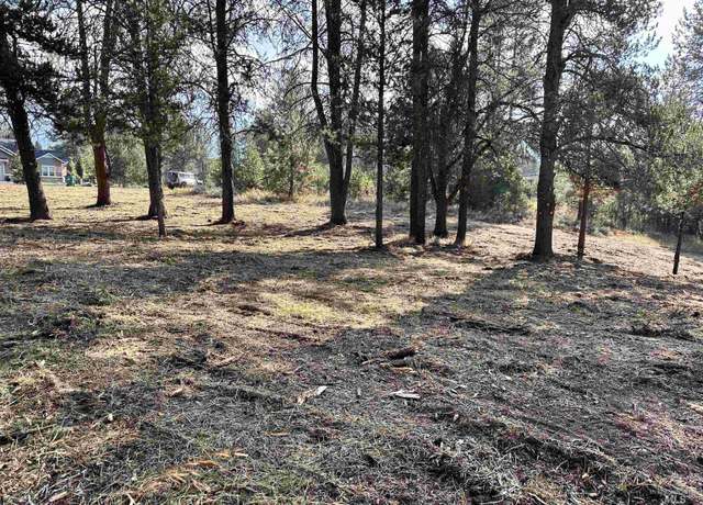 Property at 433 Wilhelm Crk, Mccall, ID 83638
