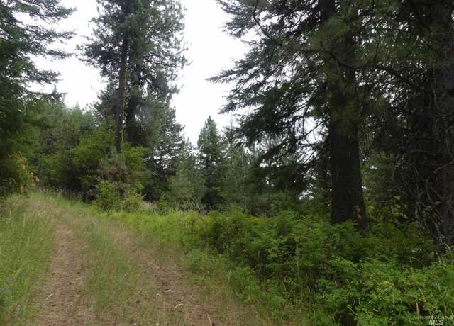Property at 506 Devils Elbow Dr, Lenore, ID 83541