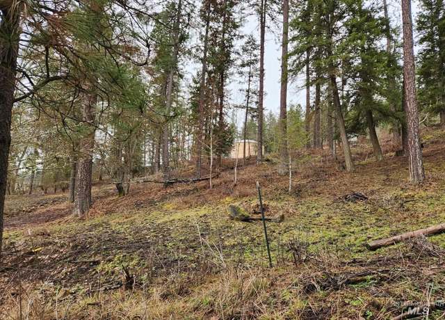 Property at TBD Elwood St Parcel A, Peck, ID 83545