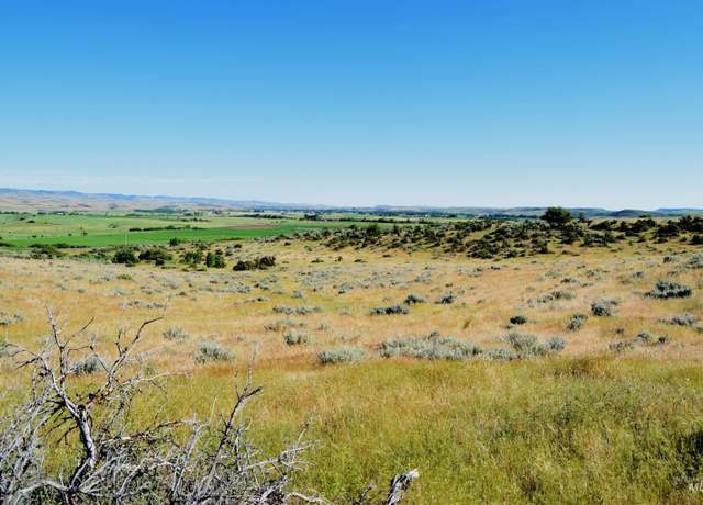 Property at TBD Hwy 95, Indian Valley, ID 83632