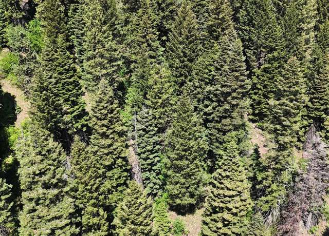 Property at 74 Burnt Wagon Trl, Donnelly, ID 83615