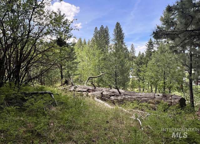 Property at T75 LI Cabarton Rd, Cascade, ID 83611