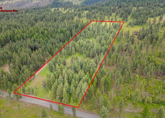Property at NNA Cloverland, Asotin, WA 99402